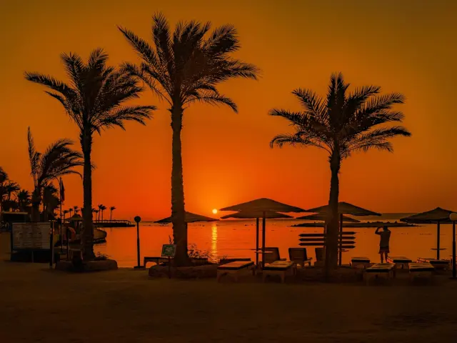 How to book vibe beach club on ncl
