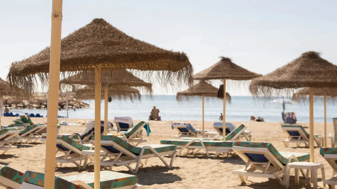 How to book vibe beach club on ncl